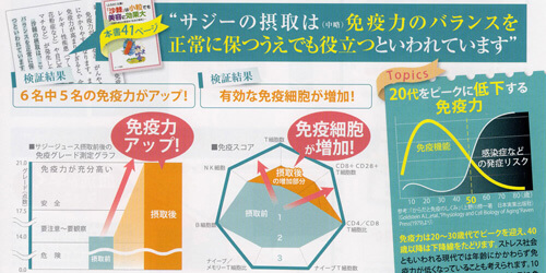 サジー免疫力