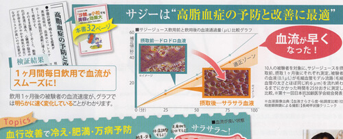サジー血流改善